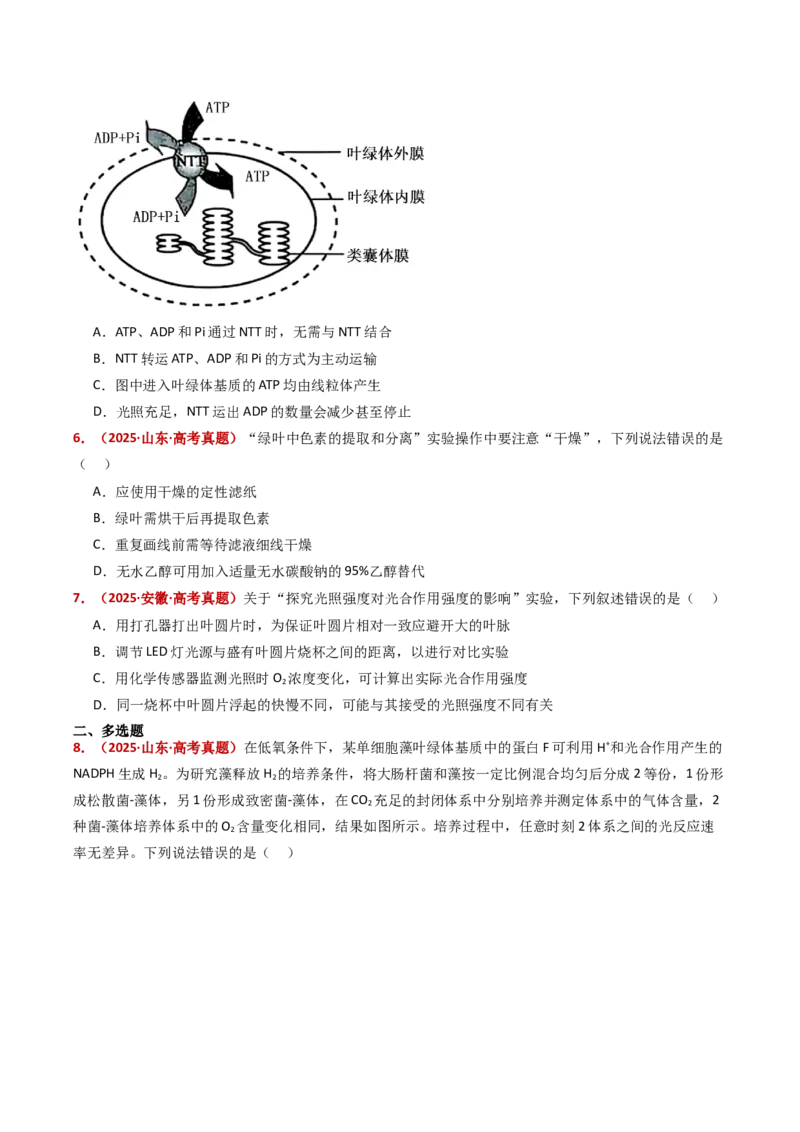 五年（2021-2025）全国高考生物真题分类汇编专题05细胞呼吸和光合作用（全国通用）（原卷版）_高考真题分类汇编_高考生物真题分类汇编（全国通用）五年（2021-2025）