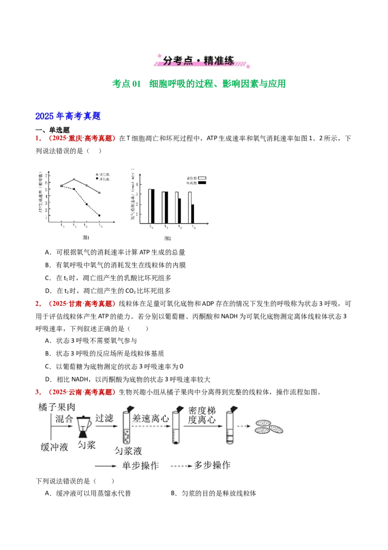 五年（2021-2025）全国高考生物真题分类汇编专题05细胞呼吸和光合作用（全国通用）（原卷版）_高考真题分类汇编_高考生物真题分类汇编（全国通用）五年（2021-2025）