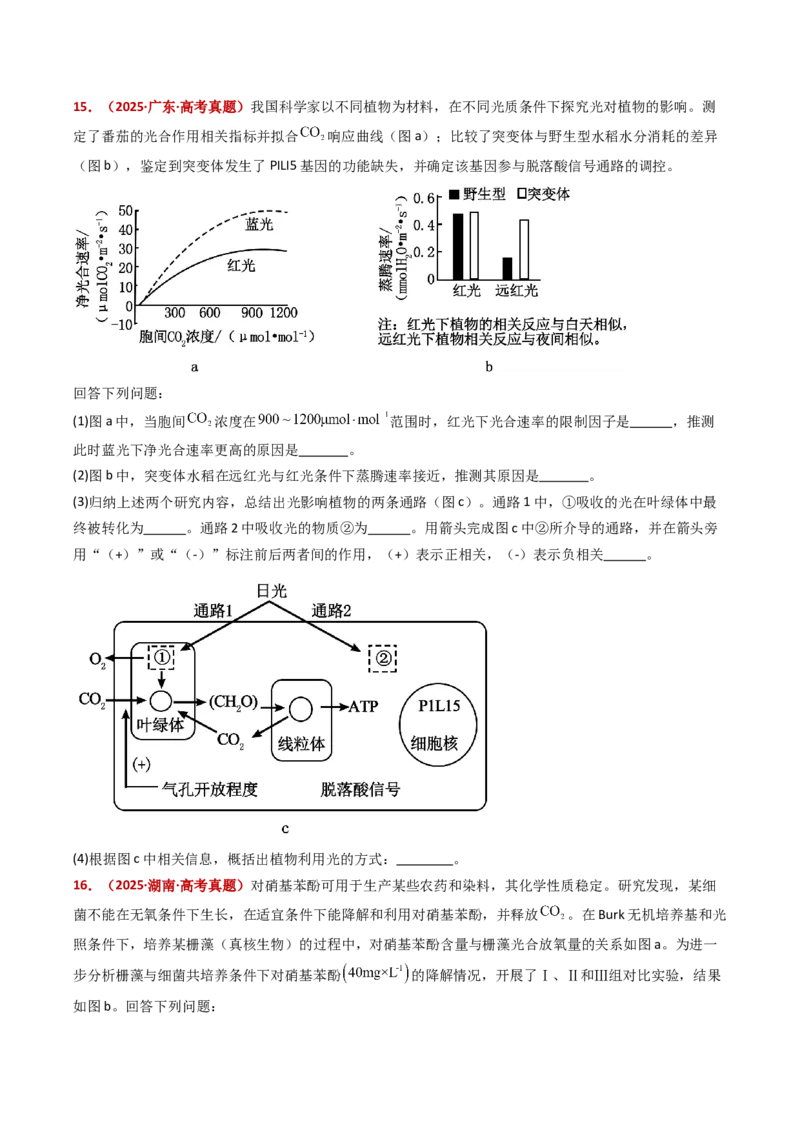 五年（2021-2025）全国高考生物真题分类汇编专题05细胞呼吸和光合作用（全国通用）（原卷版）_高考真题分类汇编_高考生物真题分类汇编（全国通用）五年（2021-2025）