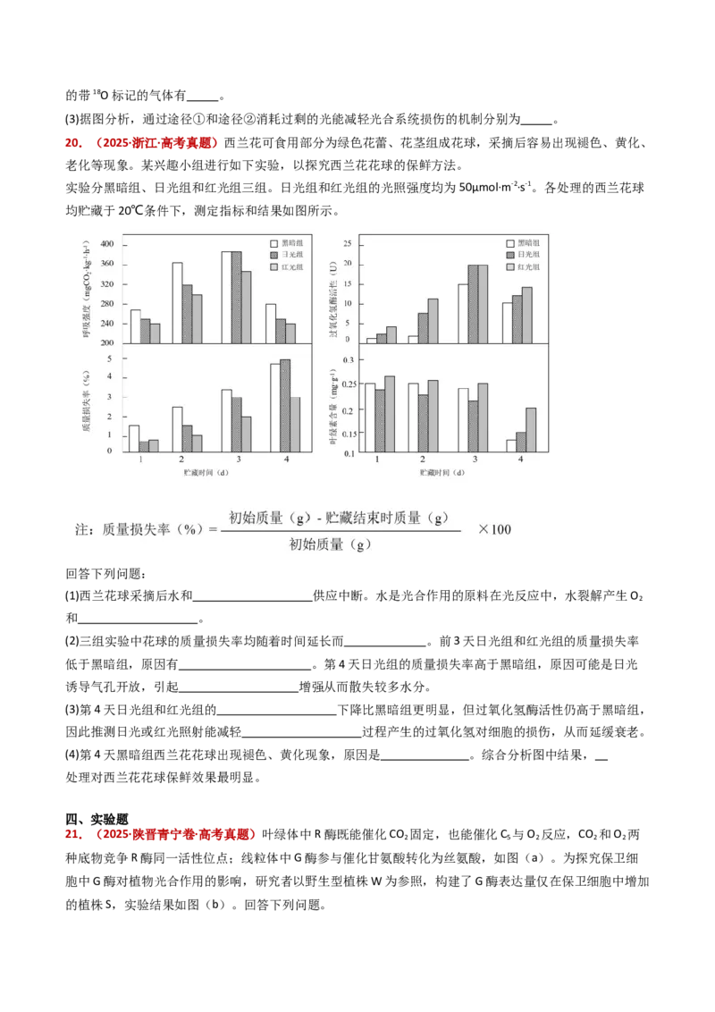 五年（2021-2025）全国高考生物真题分类汇编专题05细胞呼吸和光合作用（全国通用）（原卷版）_高考真题分类汇编_高考生物真题分类汇编（全国通用）五年（2021-2025）