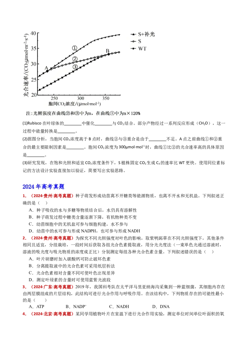 五年（2021-2025）全国高考生物真题分类汇编专题05细胞呼吸和光合作用（全国通用）（原卷版）_高考真题分类汇编_高考生物真题分类汇编（全国通用）五年（2021-2025）