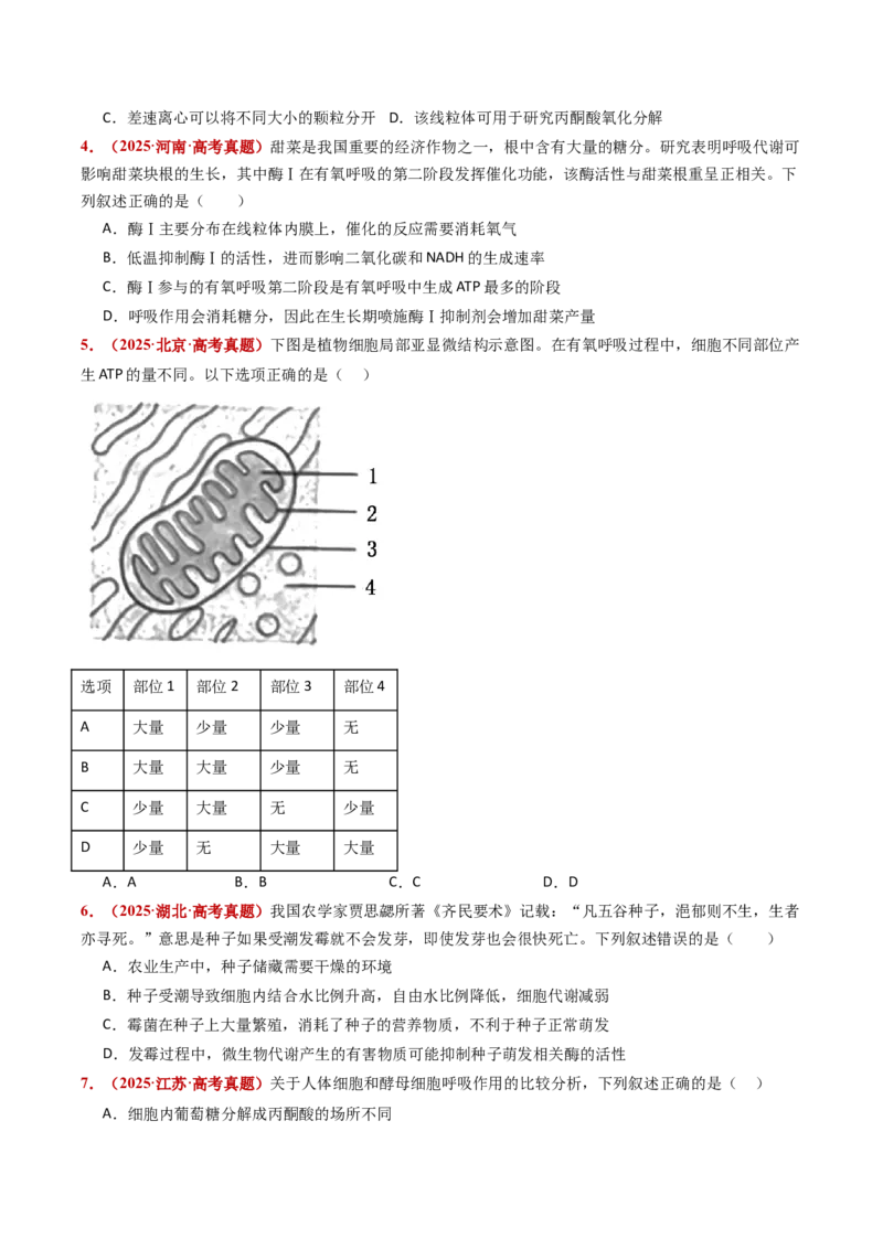 五年（2021-2025）全国高考生物真题分类汇编专题05细胞呼吸和光合作用（全国通用）（原卷版）_高考真题分类汇编_高考生物真题分类汇编（全国通用）五年（2021-2025）