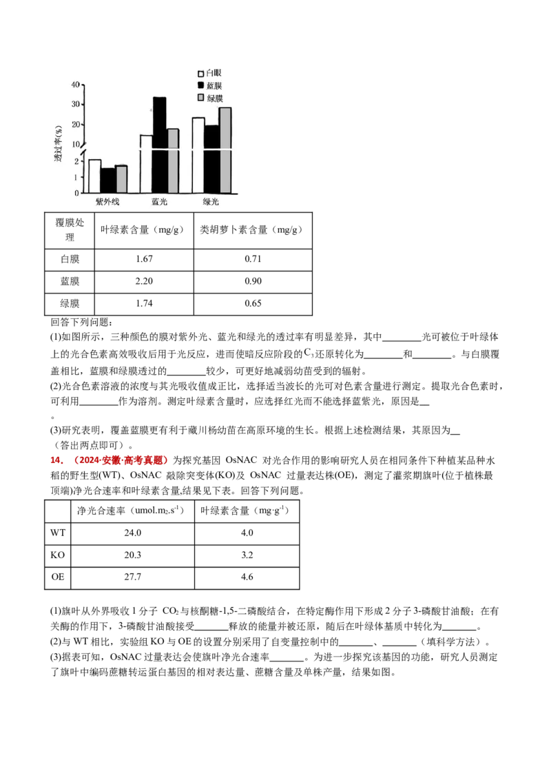五年（2021-2025）全国高考生物真题分类汇编专题05细胞呼吸和光合作用（全国通用）（原卷版）_高考真题分类汇编_高考生物真题分类汇编（全国通用）五年（2021-2025）