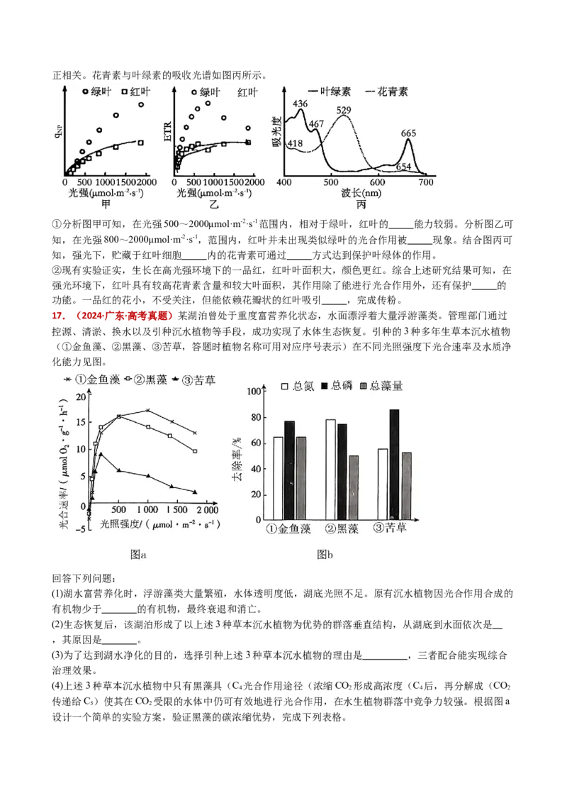 五年（2021-2025）全国高考生物真题分类汇编专题05细胞呼吸和光合作用（全国通用）（原卷版）_高考真题分类汇编_高考生物真题分类汇编（全国通用）五年（2021-2025）
