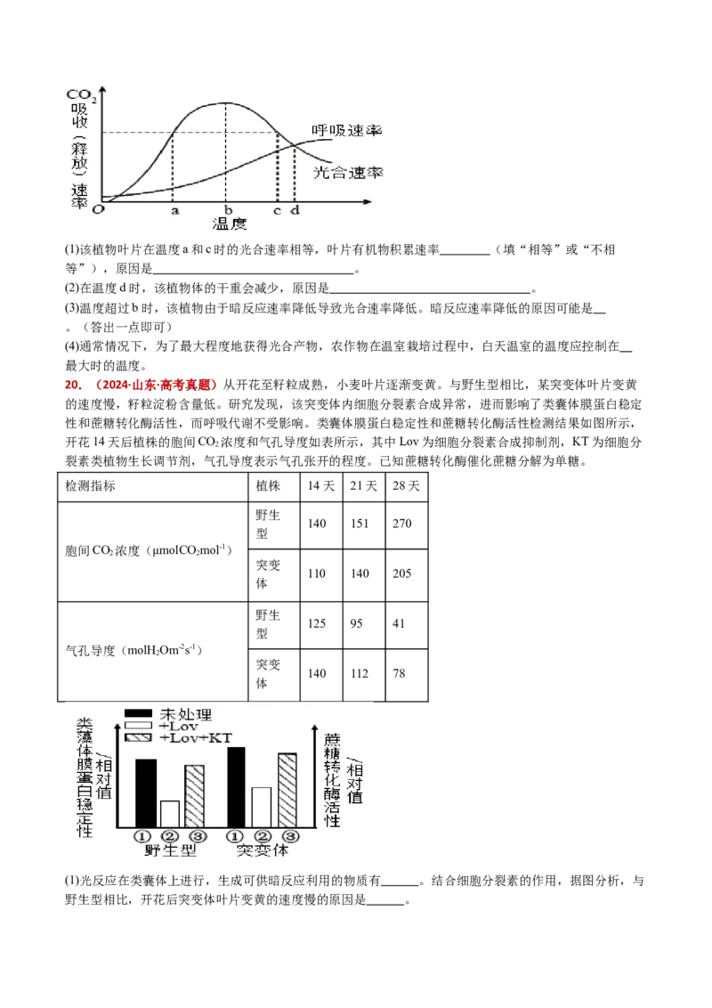 五年（2021-2025）全国高考生物真题分类汇编专题05细胞呼吸和光合作用（全国通用）（原卷版）_高考真题分类汇编_高考生物真题分类汇编（全国通用）五年（2021-2025）