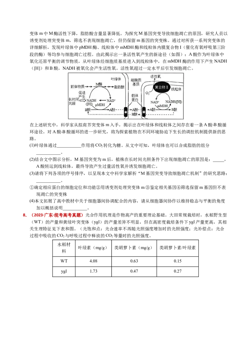 五年（2021-2025）全国高考生物真题分类汇编专题05细胞呼吸和光合作用（全国通用）（原卷版）_高考真题分类汇编_高考生物真题分类汇编（全国通用）五年（2021-2025）