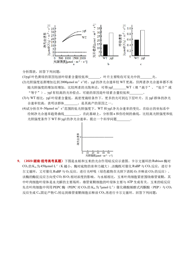 五年（2021-2025）全国高考生物真题分类汇编专题05细胞呼吸和光合作用（全国通用）（原卷版）_高考真题分类汇编_高考生物真题分类汇编（全国通用）五年（2021-2025）