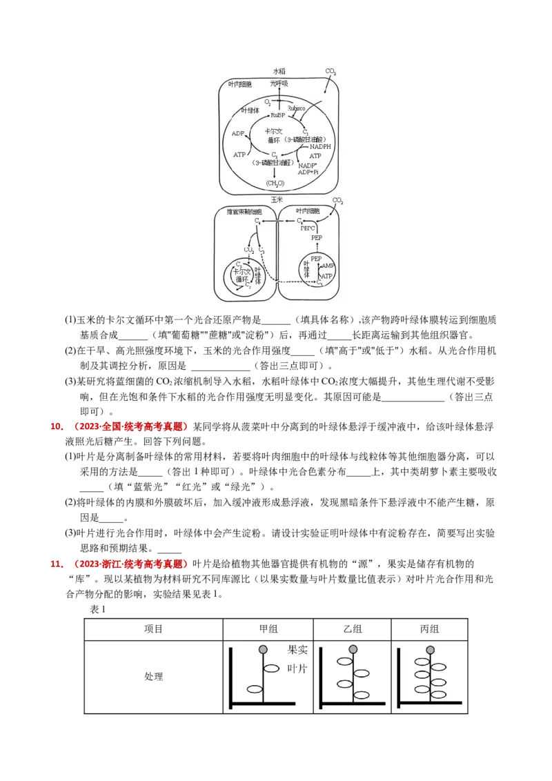 五年（2021-2025）全国高考生物真题分类汇编专题05细胞呼吸和光合作用（全国通用）（原卷版）_高考真题分类汇编_高考生物真题分类汇编（全国通用）五年（2021-2025）