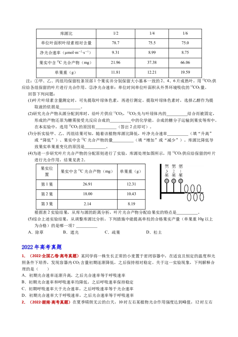 五年（2021-2025）全国高考生物真题分类汇编专题05细胞呼吸和光合作用（全国通用）（原卷版）_高考真题分类汇编_高考生物真题分类汇编（全国通用）五年（2021-2025）