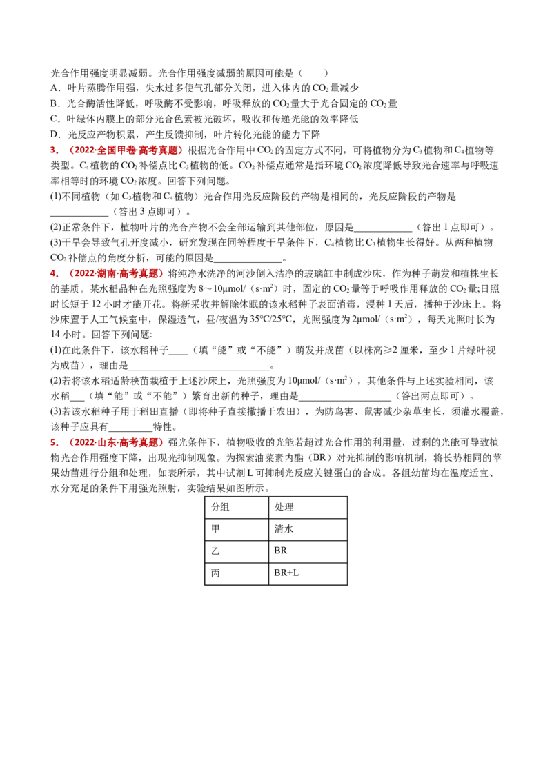 五年（2021-2025）全国高考生物真题分类汇编专题05细胞呼吸和光合作用（全国通用）（原卷版）_高考真题分类汇编_高考生物真题分类汇编（全国通用）五年（2021-2025）