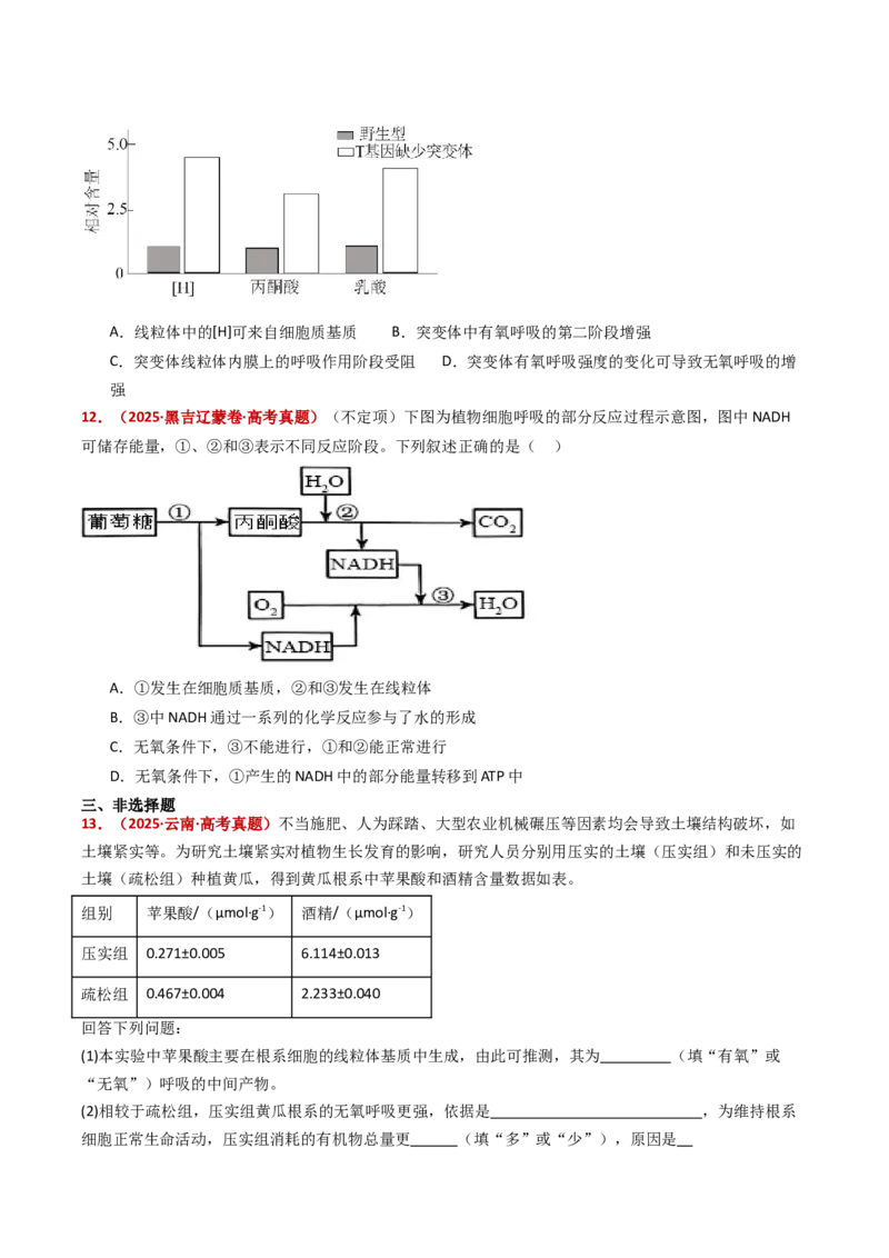 五年（2021-2025）全国高考生物真题分类汇编专题05细胞呼吸和光合作用（全国通用）（原卷版）_高考真题分类汇编_高考生物真题分类汇编（全国通用）五年（2021-2025）