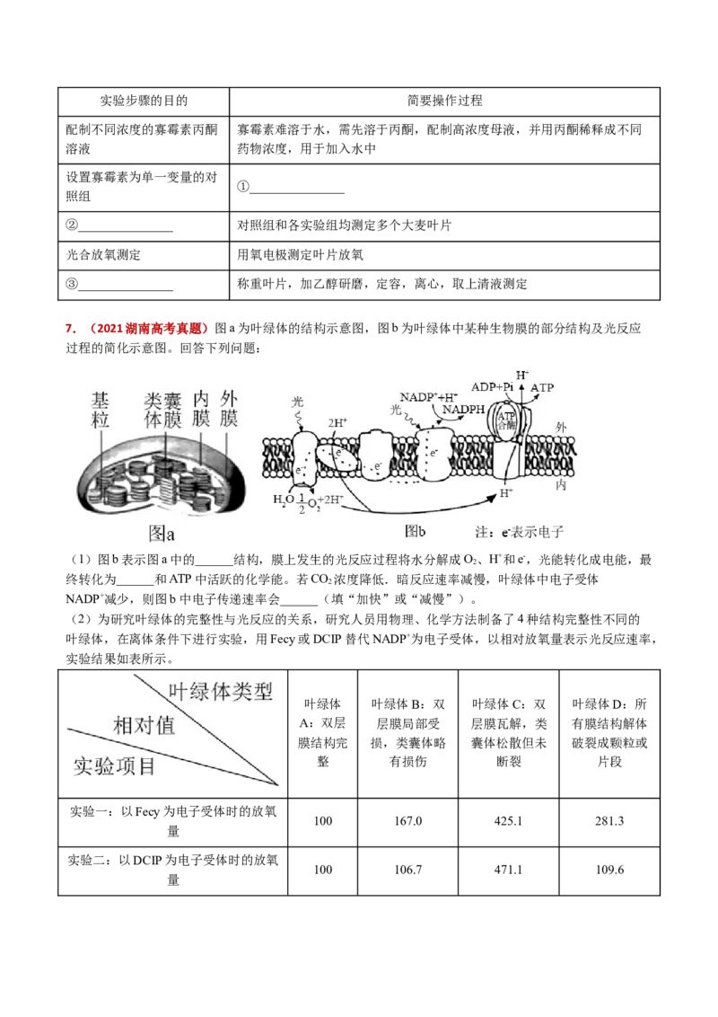 五年（2021-2025）全国高考生物真题分类汇编专题05细胞呼吸和光合作用（全国通用）（原卷版）_高考真题分类汇编_高考生物真题分类汇编（全国通用）五年（2021-2025）