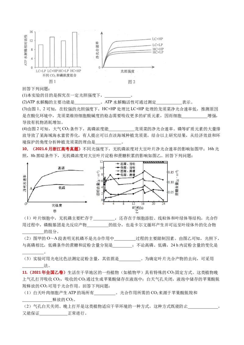 五年（2021-2025）全国高考生物真题分类汇编专题05细胞呼吸和光合作用（全国通用）（原卷版）_高考真题分类汇编_高考生物真题分类汇编（全国通用）五年（2021-2025）