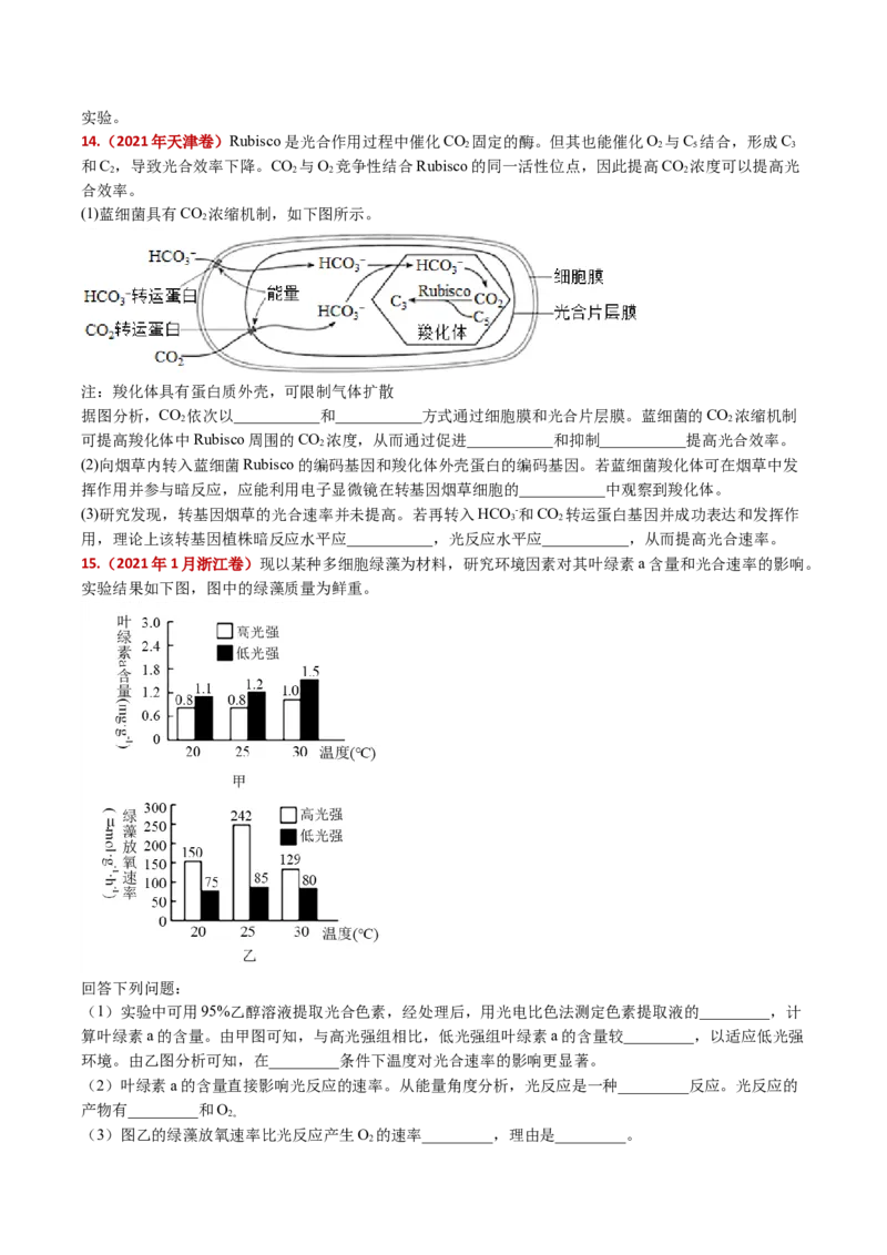五年（2021-2025）全国高考生物真题分类汇编专题05细胞呼吸和光合作用（全国通用）（原卷版）_高考真题分类汇编_高考生物真题分类汇编（全国通用）五年（2021-2025）