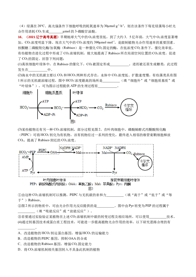 五年（2021-2025）全国高考生物真题分类汇编专题05细胞呼吸和光合作用（全国通用）（原卷版）_高考真题分类汇编_高考生物真题分类汇编（全国通用）五年（2021-2025）