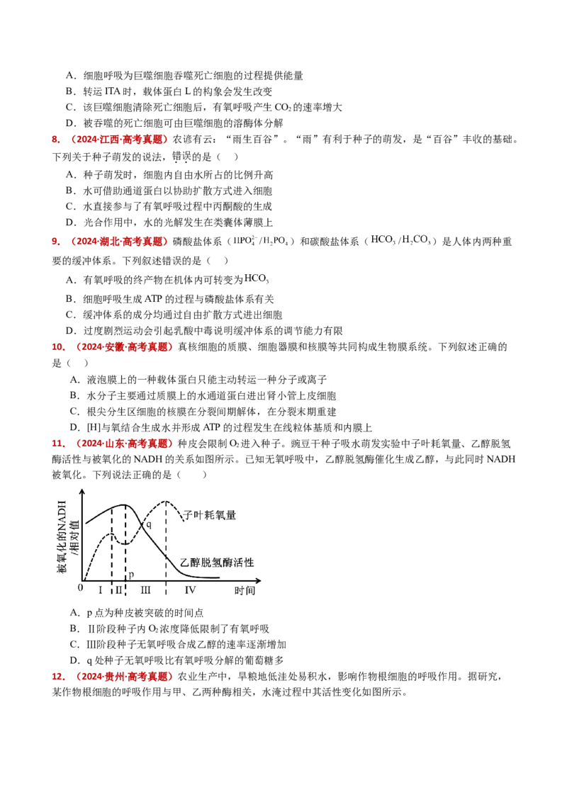 五年（2021-2025）全国高考生物真题分类汇编专题05细胞呼吸和光合作用（全国通用）（原卷版）_高考真题分类汇编_高考生物真题分类汇编（全国通用）五年（2021-2025）