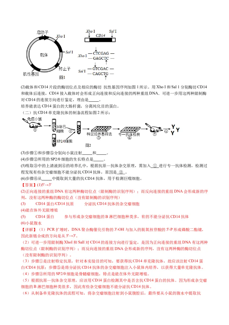 五年（2021-2025）全国高考生物真题分类汇编专题21细胞工程与胚胎工程（全国通用）（解析版）_高考真题分类汇编_高考生物真题分类汇编（全国通用）五年（2021-2025）