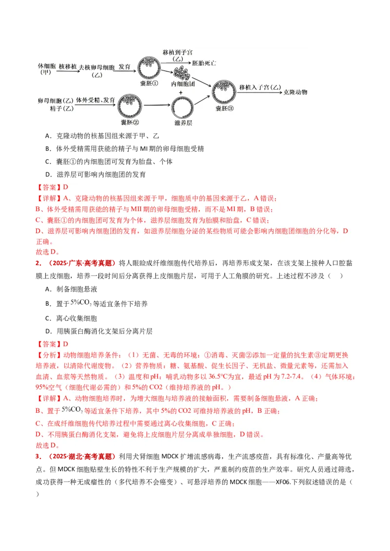 五年（2021-2025）全国高考生物真题分类汇编专题21细胞工程与胚胎工程（全国通用）（解析版）_高考真题分类汇编_高考生物真题分类汇编（全国通用）五年（2021-2025）