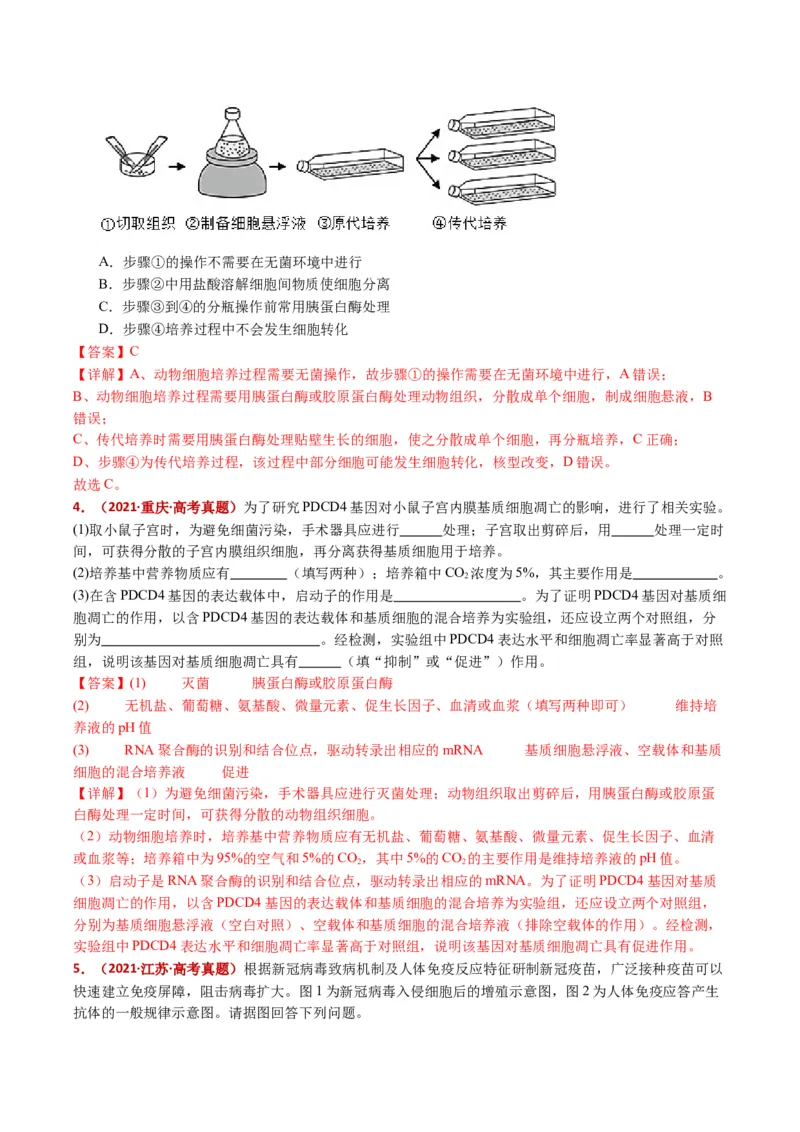 五年（2021-2025）全国高考生物真题分类汇编专题21细胞工程与胚胎工程（全国通用）（解析版）_高考真题分类汇编_高考生物真题分类汇编（全国通用）五年（2021-2025）