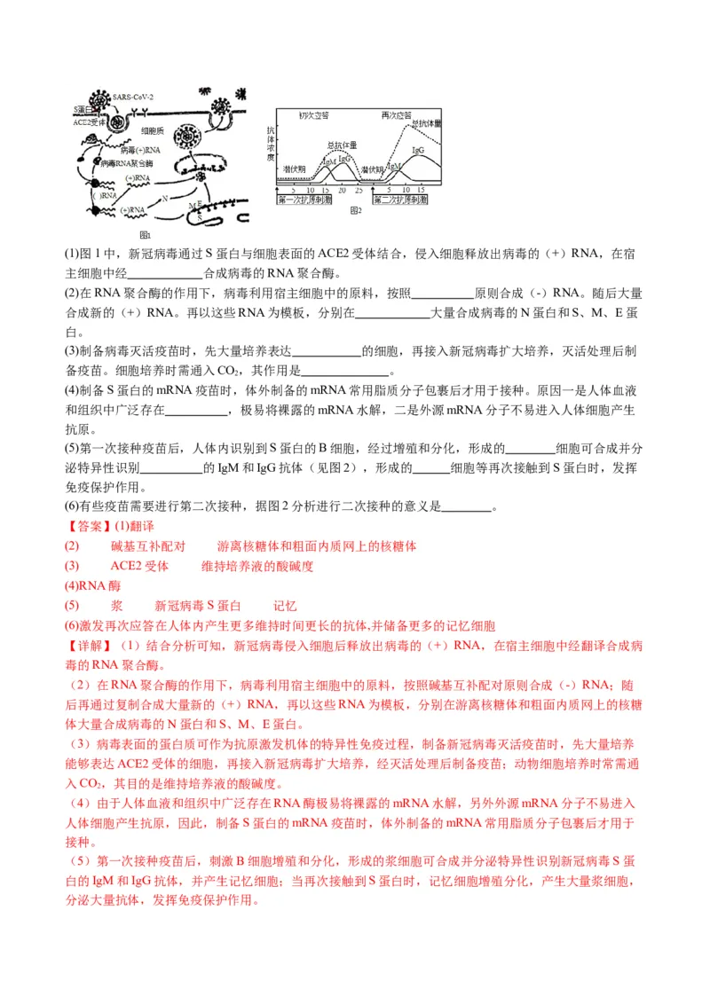 五年（2021-2025）全国高考生物真题分类汇编专题21细胞工程与胚胎工程（全国通用）（解析版）_高考真题分类汇编_高考生物真题分类汇编（全国通用）五年（2021-2025）