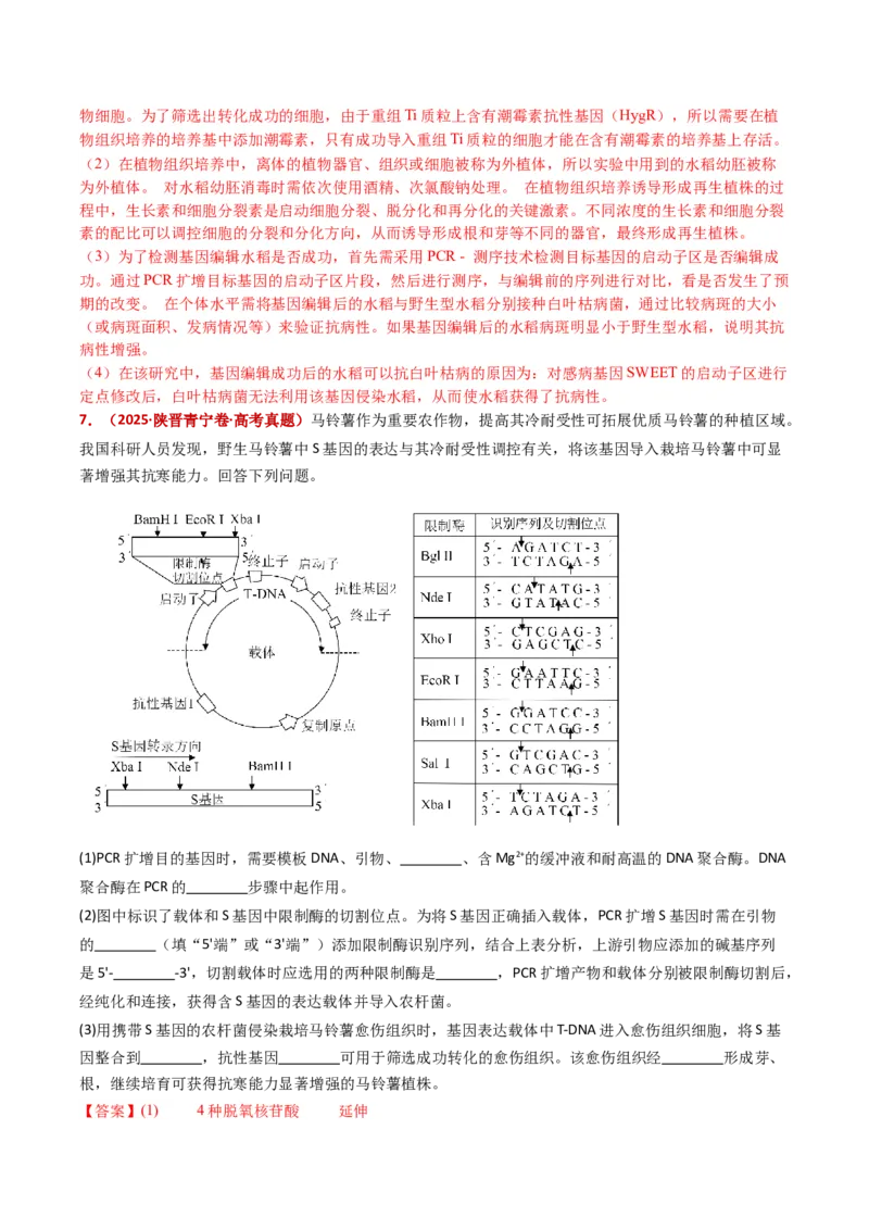 五年（2021-2025）全国高考生物真题分类汇编专题21细胞工程与胚胎工程（全国通用）（解析版）_高考真题分类汇编_高考生物真题分类汇编（全国通用）五年（2021-2025）