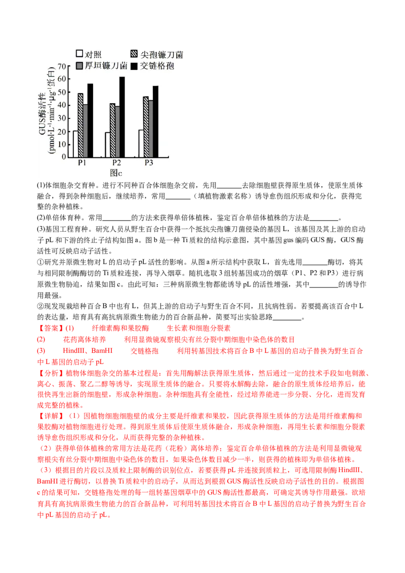 五年（2021-2025）全国高考生物真题分类汇编专题21细胞工程与胚胎工程（全国通用）（解析版）_高考真题分类汇编_高考生物真题分类汇编（全国通用）五年（2021-2025）