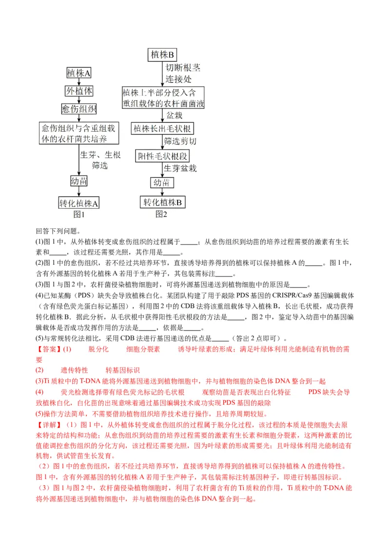 五年（2021-2025）全国高考生物真题分类汇编专题21细胞工程与胚胎工程（全国通用）（解析版）_高考真题分类汇编_高考生物真题分类汇编（全国通用）五年（2021-2025）