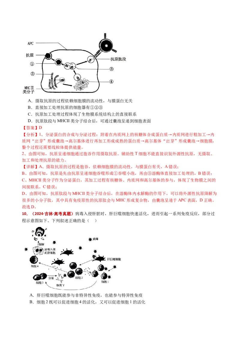 五年（2021-2025）全国高考生物真题分类汇编专题16免疫调节（全国通用）（解析版）_高考真题分类汇编_高考生物真题分类汇编（全国通用）五年（2021-2025）