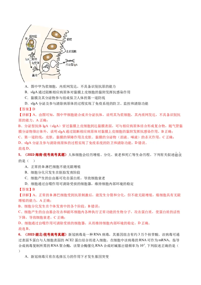 五年（2021-2025）全国高考生物真题分类汇编专题16免疫调节（全国通用）（解析版）_高考真题分类汇编_高考生物真题分类汇编（全国通用）五年（2021-2025）
