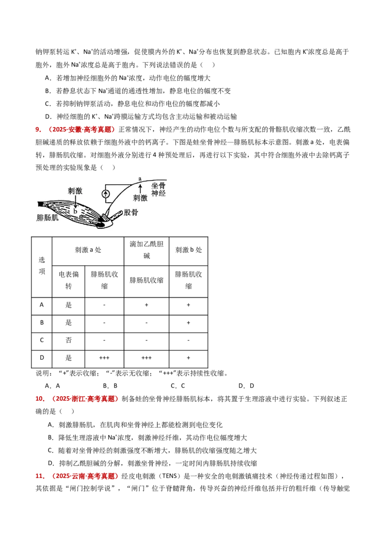 五年（2021-2025）全国高考生物真题分类汇编专题14神经调节（全国通用）（原卷版）_高考真题分类汇编_高考生物真题分类汇编（全国通用）五年（2021-2025）
