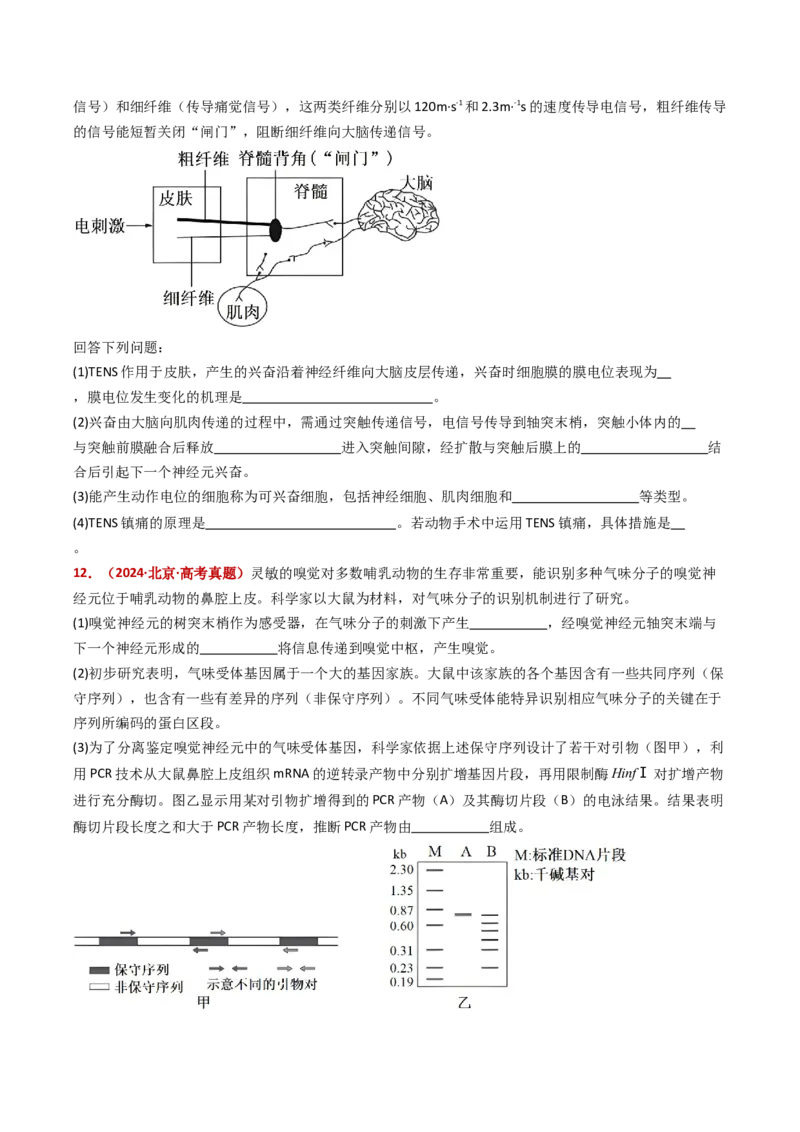 五年（2021-2025）全国高考生物真题分类汇编专题14神经调节（全国通用）（原卷版）_高考真题分类汇编_高考生物真题分类汇编（全国通用）五年（2021-2025）