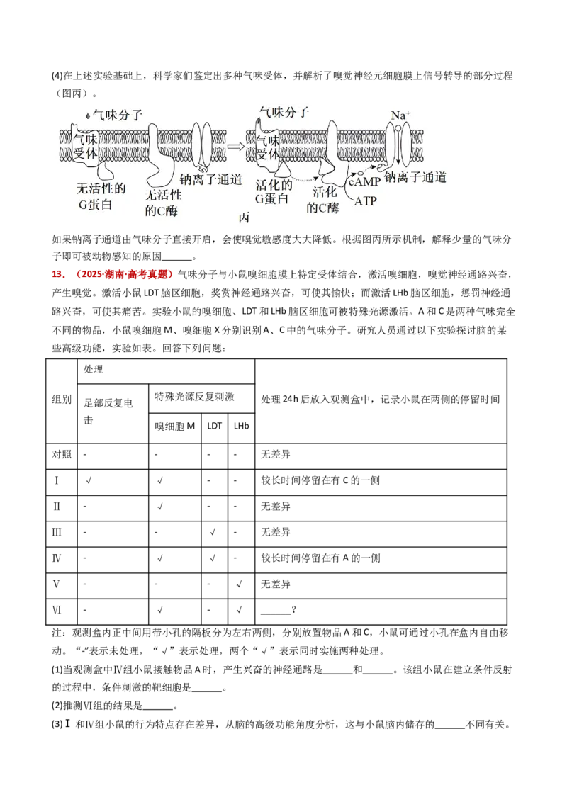 五年（2021-2025）全国高考生物真题分类汇编专题14神经调节（全国通用）（原卷版）_高考真题分类汇编_高考生物真题分类汇编（全国通用）五年（2021-2025）