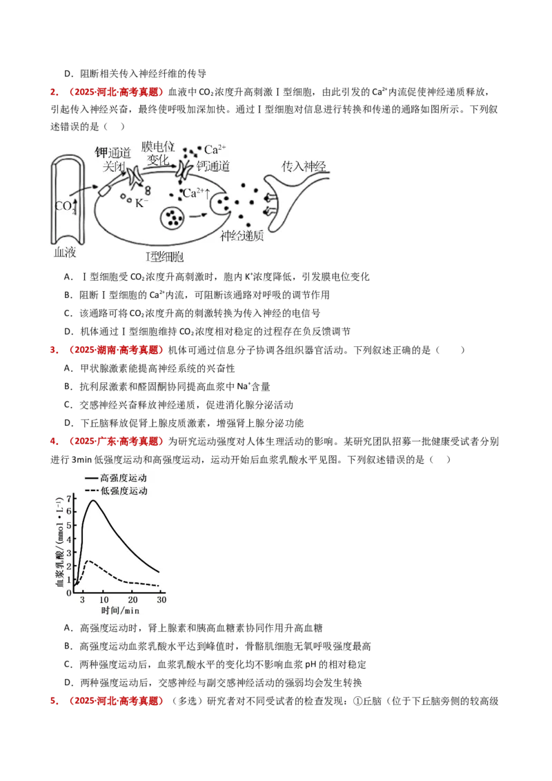 五年（2021-2025）全国高考生物真题分类汇编专题14神经调节（全国通用）（原卷版）_高考真题分类汇编_高考生物真题分类汇编（全国通用）五年（2021-2025）