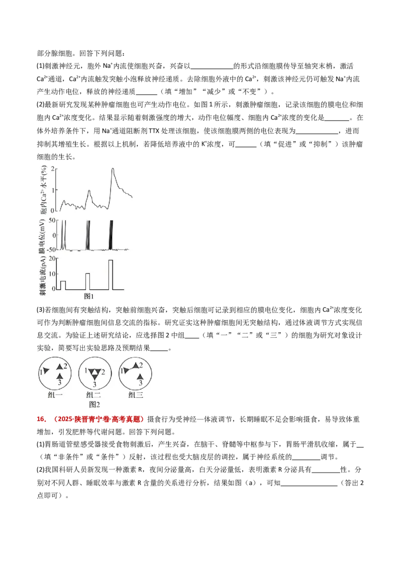五年（2021-2025）全国高考生物真题分类汇编专题14神经调节（全国通用）（原卷版）_高考真题分类汇编_高考生物真题分类汇编（全国通用）五年（2021-2025）