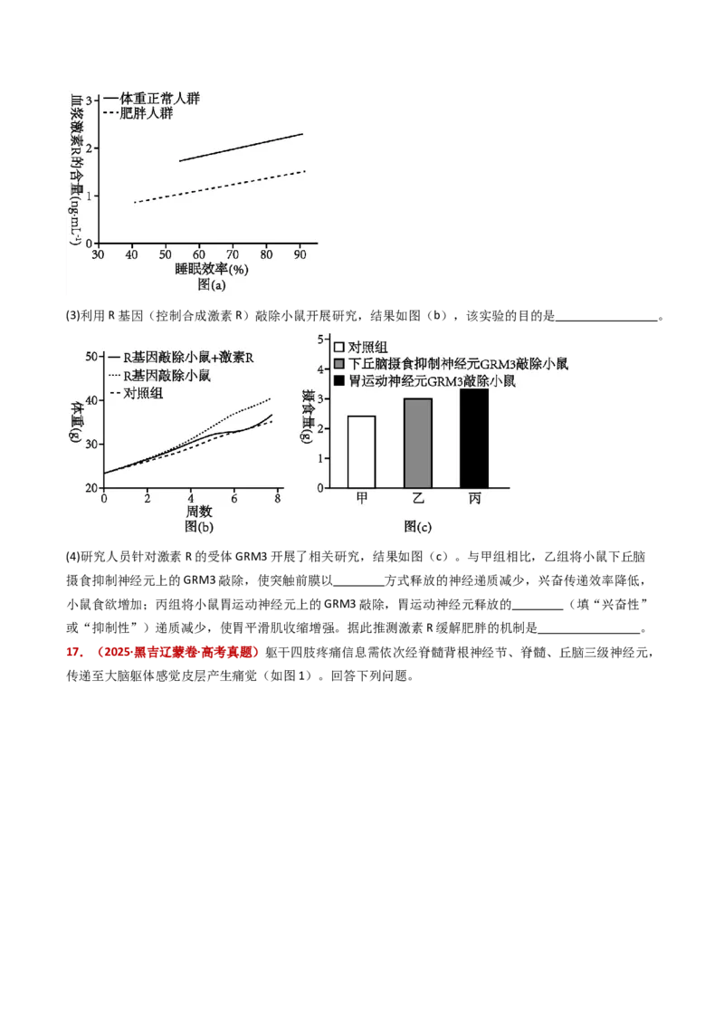 五年（2021-2025）全国高考生物真题分类汇编专题14神经调节（全国通用）（原卷版）_高考真题分类汇编_高考生物真题分类汇编（全国通用）五年（2021-2025）