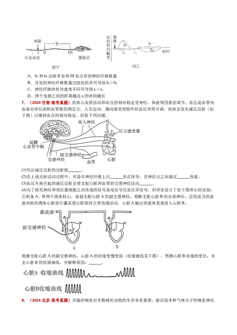 五年（2021-2025）全国高考生物真题分类汇编专题14神经调节（全国通用）（原卷版）_高考真题分类汇编_高考生物真题分类汇编（全国通用）五年（2021-2025）