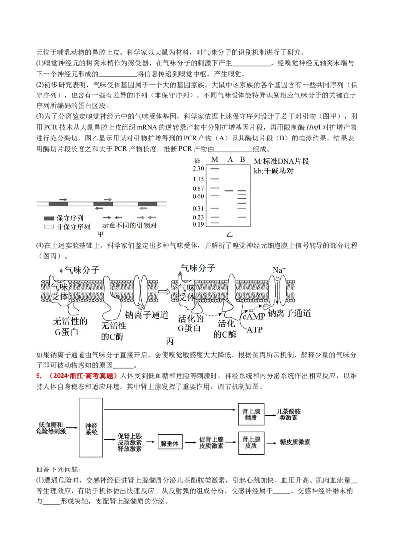五年（2021-2025）全国高考生物真题分类汇编专题14神经调节（全国通用）（原卷版）_高考真题分类汇编_高考生物真题分类汇编（全国通用）五年（2021-2025）