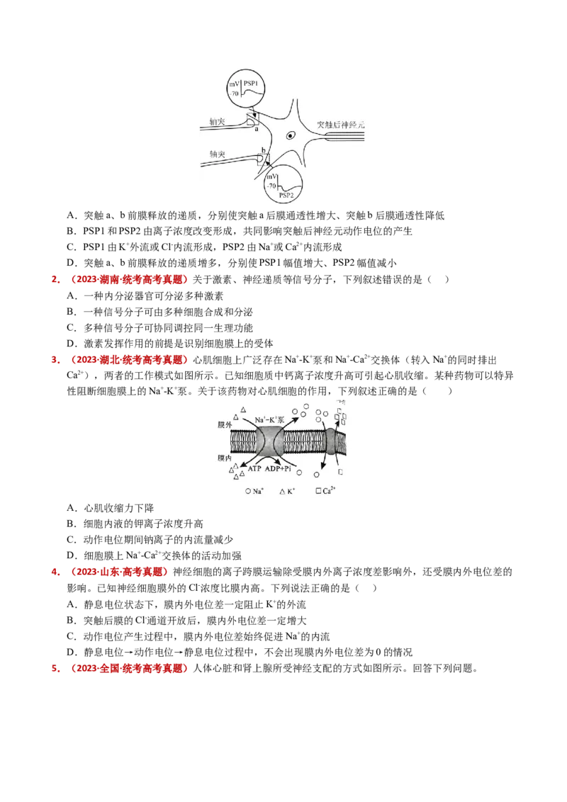 五年（2021-2025）全国高考生物真题分类汇编专题14神经调节（全国通用）（原卷版）_高考真题分类汇编_高考生物真题分类汇编（全国通用）五年（2021-2025）