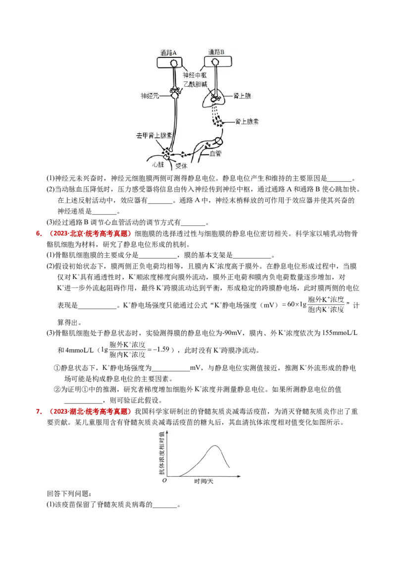 五年（2021-2025）全国高考生物真题分类汇编专题14神经调节（全国通用）（原卷版）_高考真题分类汇编_高考生物真题分类汇编（全国通用）五年（2021-2025）