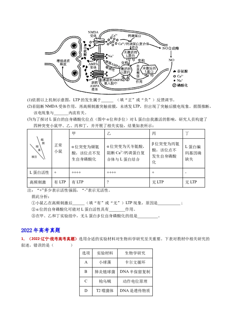 五年（2021-2025）全国高考生物真题分类汇编专题14神经调节（全国通用）（原卷版）_高考真题分类汇编_高考生物真题分类汇编（全国通用）五年（2021-2025）