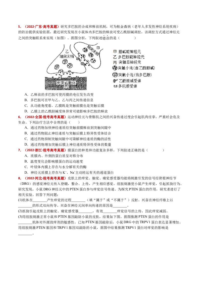 五年（2021-2025）全国高考生物真题分类汇编专题14神经调节（全国通用）（原卷版）_高考真题分类汇编_高考生物真题分类汇编（全国通用）五年（2021-2025）