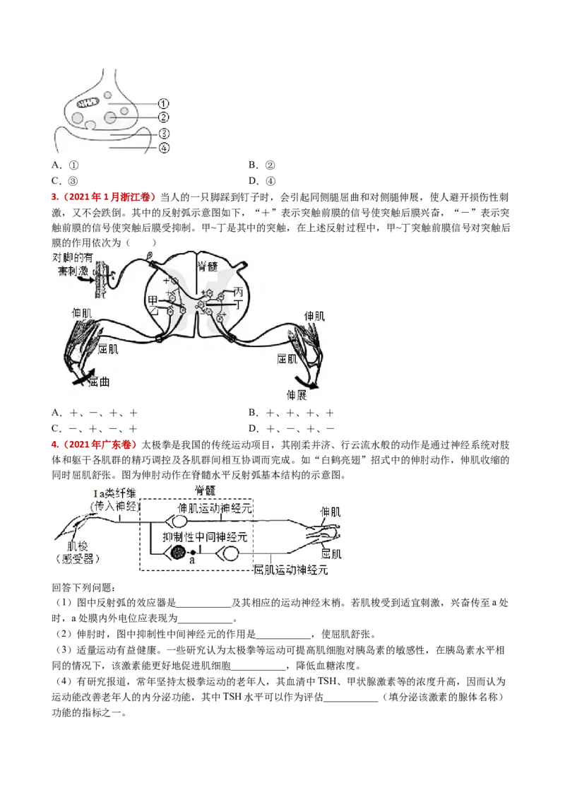 五年（2021-2025）全国高考生物真题分类汇编专题14神经调节（全国通用）（原卷版）_高考真题分类汇编_高考生物真题分类汇编（全国通用）五年（2021-2025）