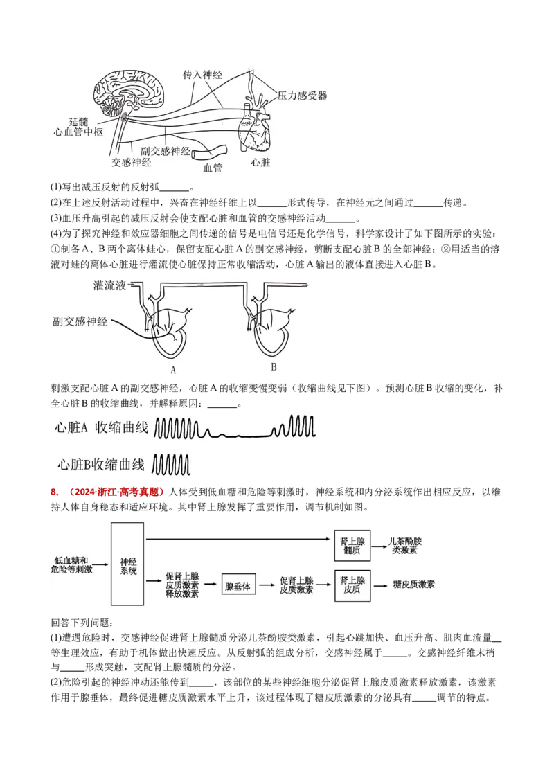 五年（2021-2025）全国高考生物真题分类汇编专题14神经调节（全国通用）（原卷版）_高考真题分类汇编_高考生物真题分类汇编（全国通用）五年（2021-2025）