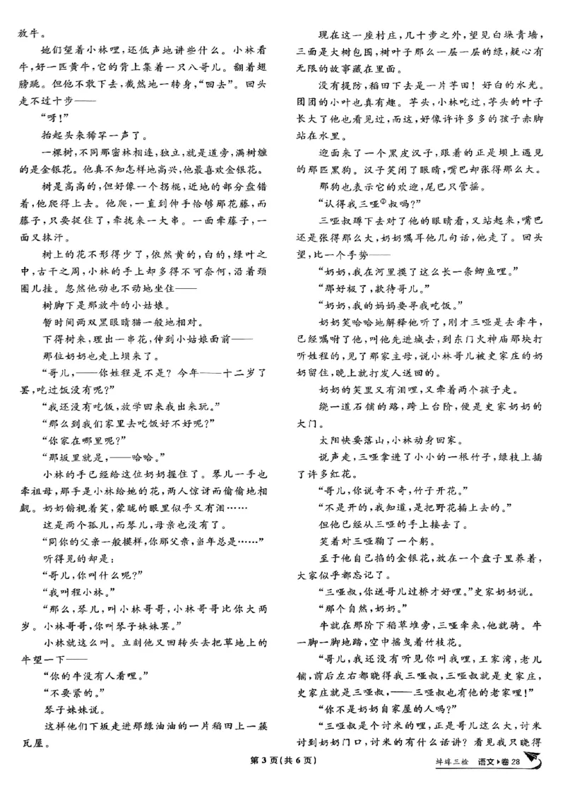 2025高考必刷卷42套语文新高考版_《2025高考必刷卷》_语文