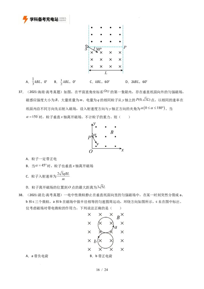 专题10磁场（全国通用）（原卷版）_高考真题分类汇编_高考物理真题分类汇编（全国通用）五年（2021-2025）_专题10磁场（全国通用）-好题汇编五年（2021-2025）高考物理真题分类汇编
