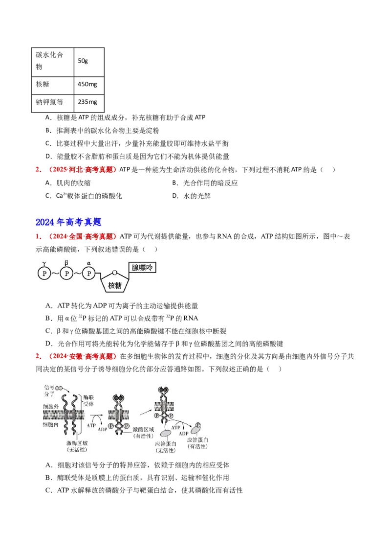 五年（2021-2025）全国高考生物真题分类汇编专题04酶和ATP（全国通用）（原卷版）_高考真题分类汇编_高考生物真题分类汇编（全国通用）五年（2021-2025）