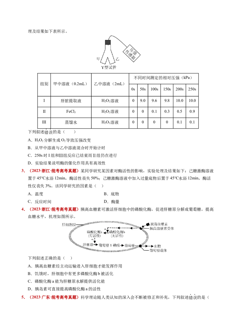 五年（2021-2025）全国高考生物真题分类汇编专题04酶和ATP（全国通用）（原卷版）_高考真题分类汇编_高考生物真题分类汇编（全国通用）五年（2021-2025）