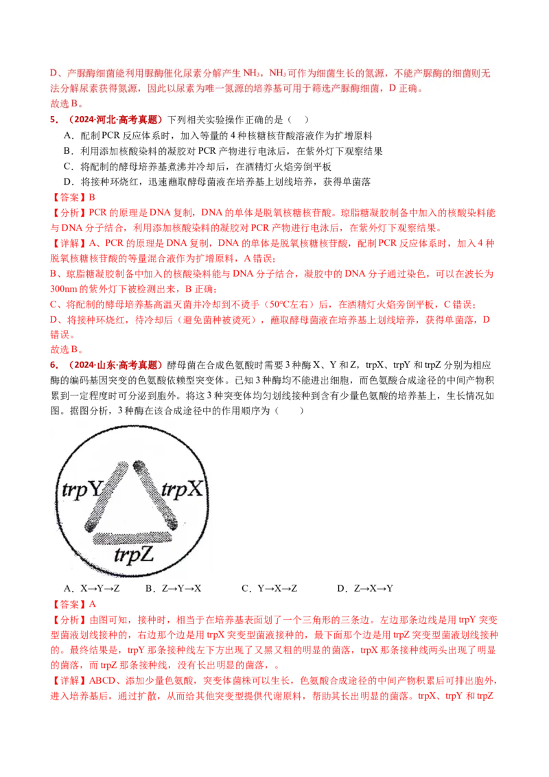 五年（2021-2025）全国高考生物真题分类汇编专题20发酵工程（全国通用）（解析版）_高考真题分类汇编_高考生物真题分类汇编（全国通用）五年（2021-2025）