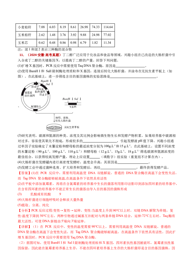 五年（2021-2025）全国高考生物真题分类汇编专题20发酵工程（全国通用）（解析版）_高考真题分类汇编_高考生物真题分类汇编（全国通用）五年（2021-2025）