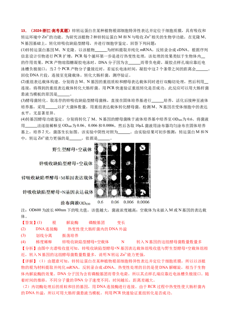 五年（2021-2025）全国高考生物真题分类汇编专题20发酵工程（全国通用）（解析版）_高考真题分类汇编_高考生物真题分类汇编（全国通用）五年（2021-2025）